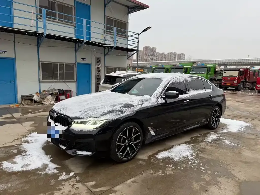 BMW 5 Series 2023 из CN, фото 1
