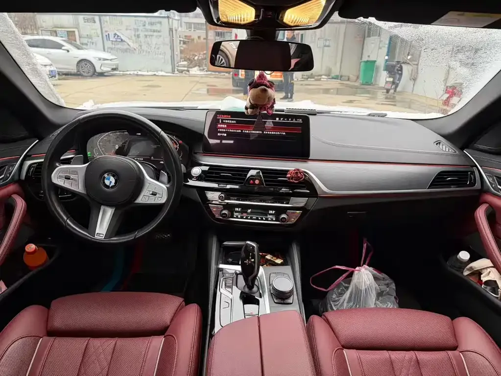 BMW 5 Series 2023 из CN, фото 5
