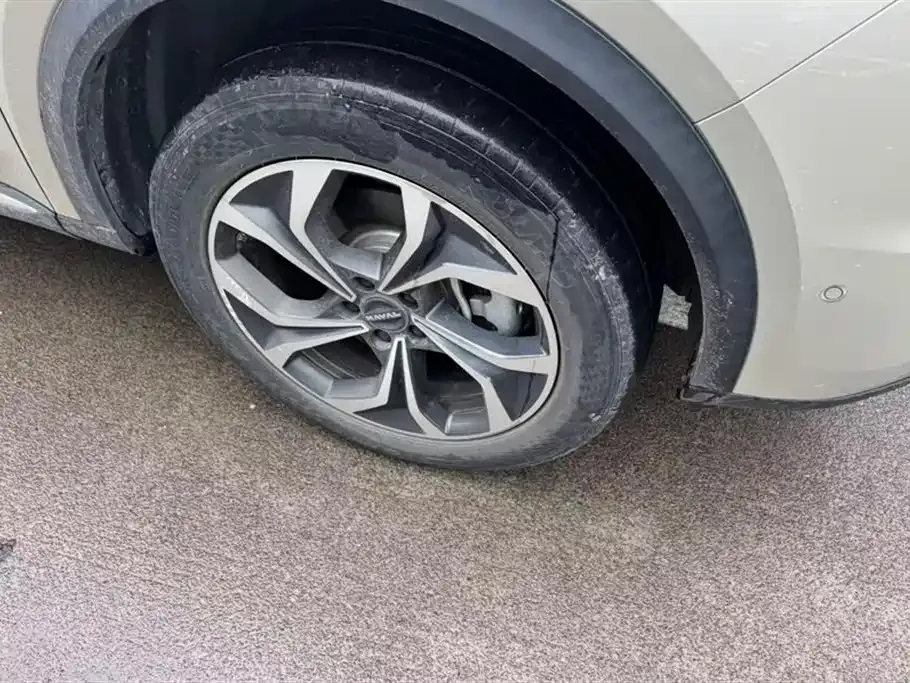 Haval Xiaolong MAX 2023 из CN, фото 8