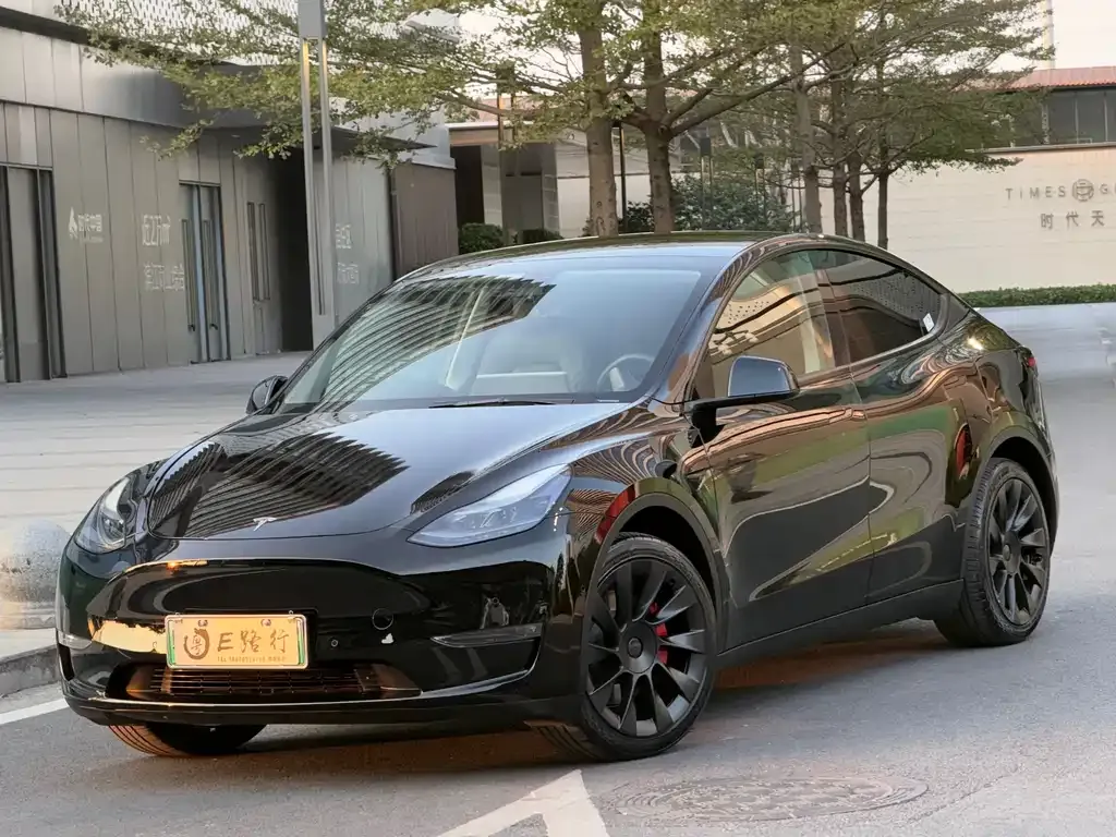 Tesla Model Y 2021 из CN, фото 1
