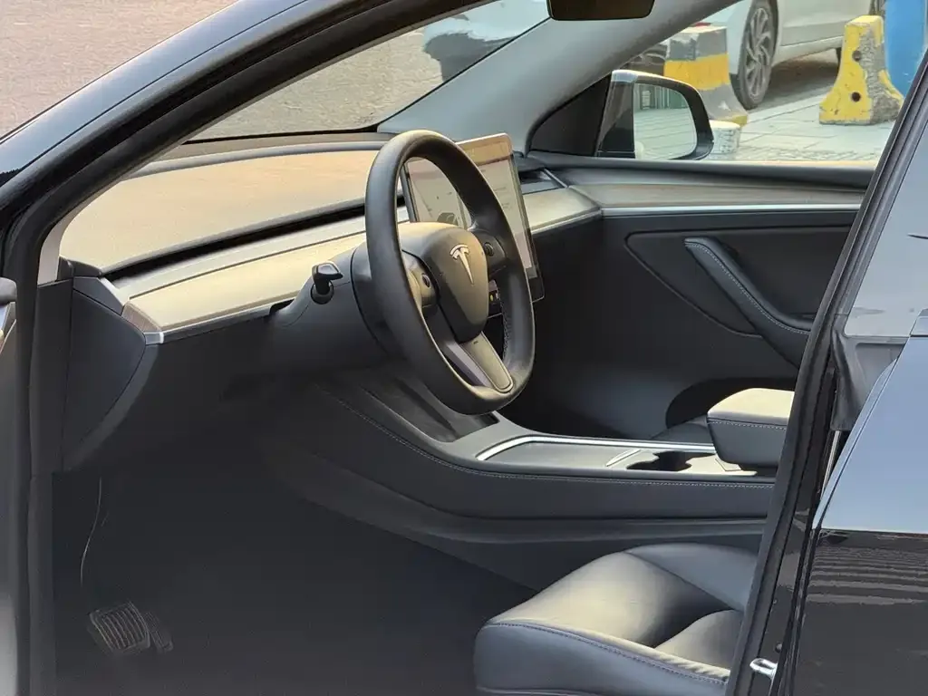 Tesla Model Y 2021 из CN, фото 5