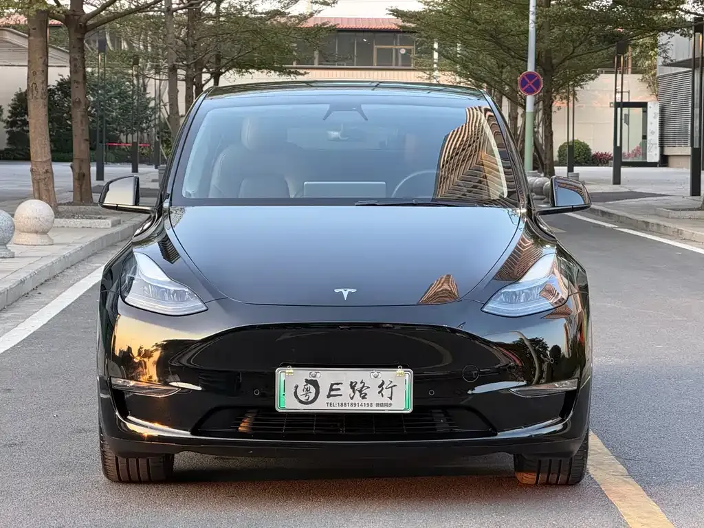 Tesla Model Y 2021 из CN, фото 9