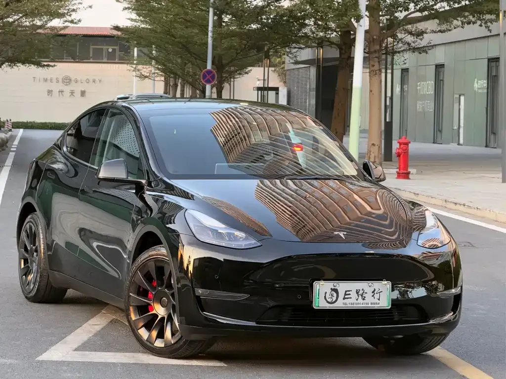 Tesla Model Y 2021 из CN, фото 6