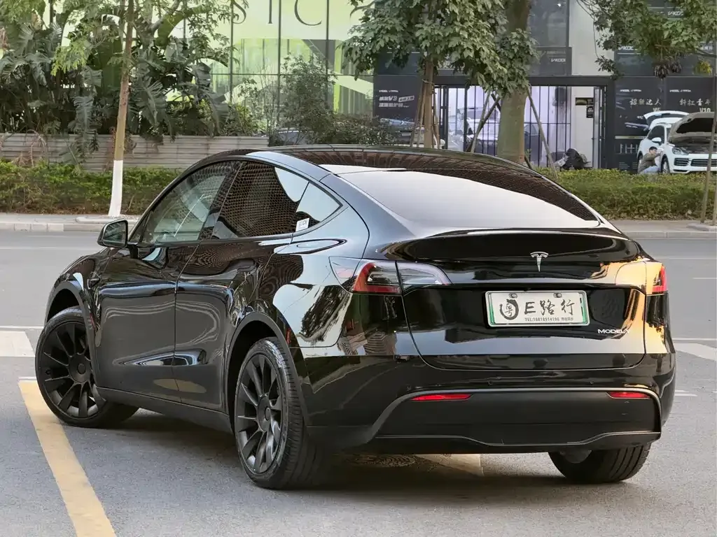 Tesla Model Y 2021 из CN, фото 10