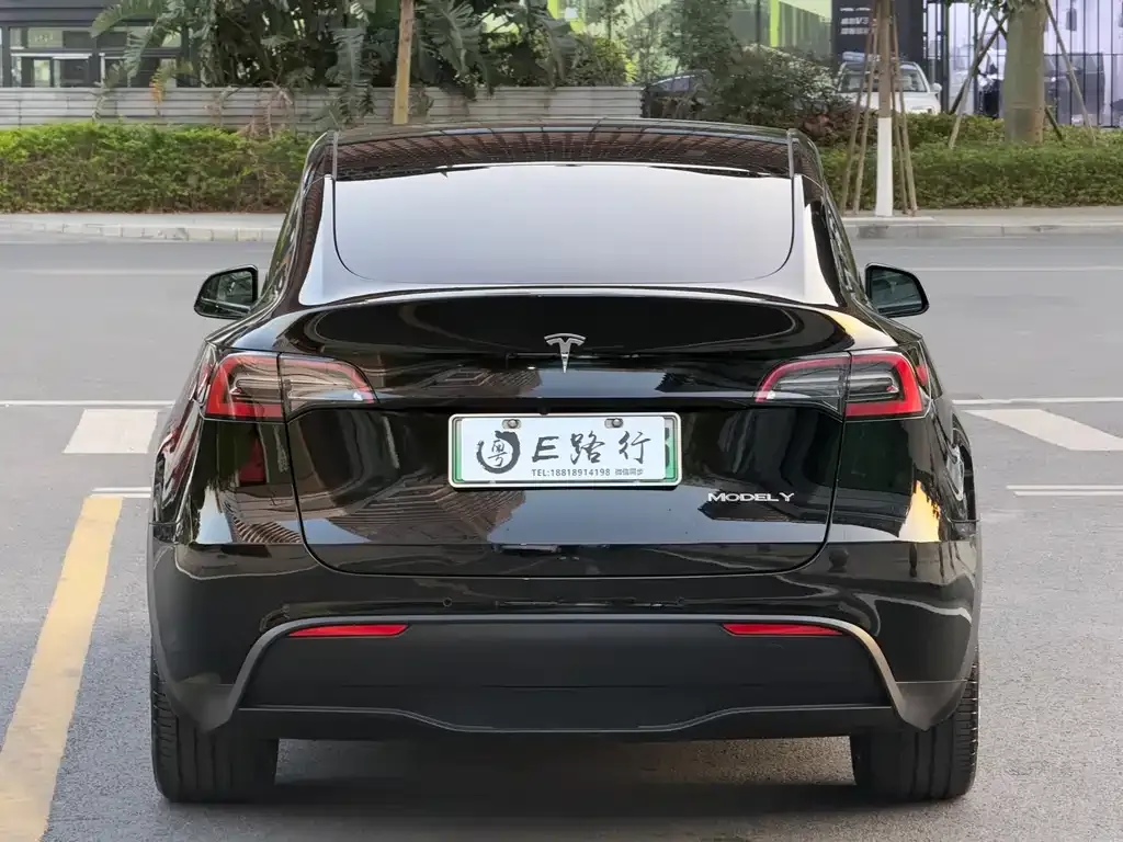 Tesla Model Y 2021 из CN, фото 4