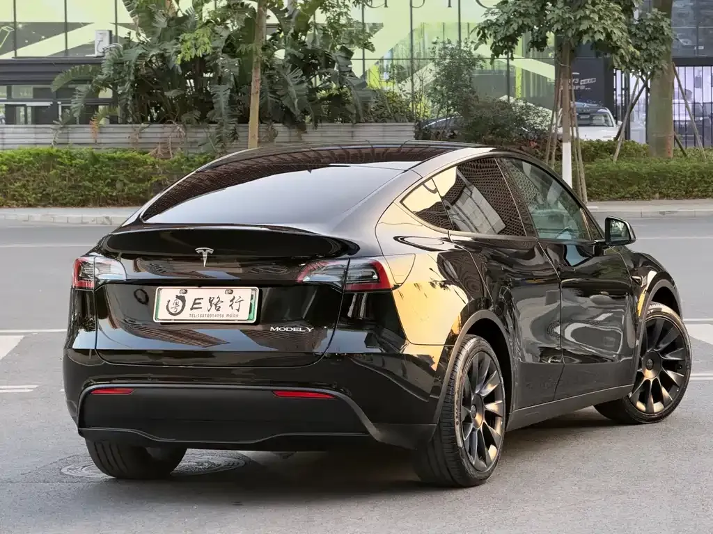 Tesla Model Y 2021 из CN, фото 8