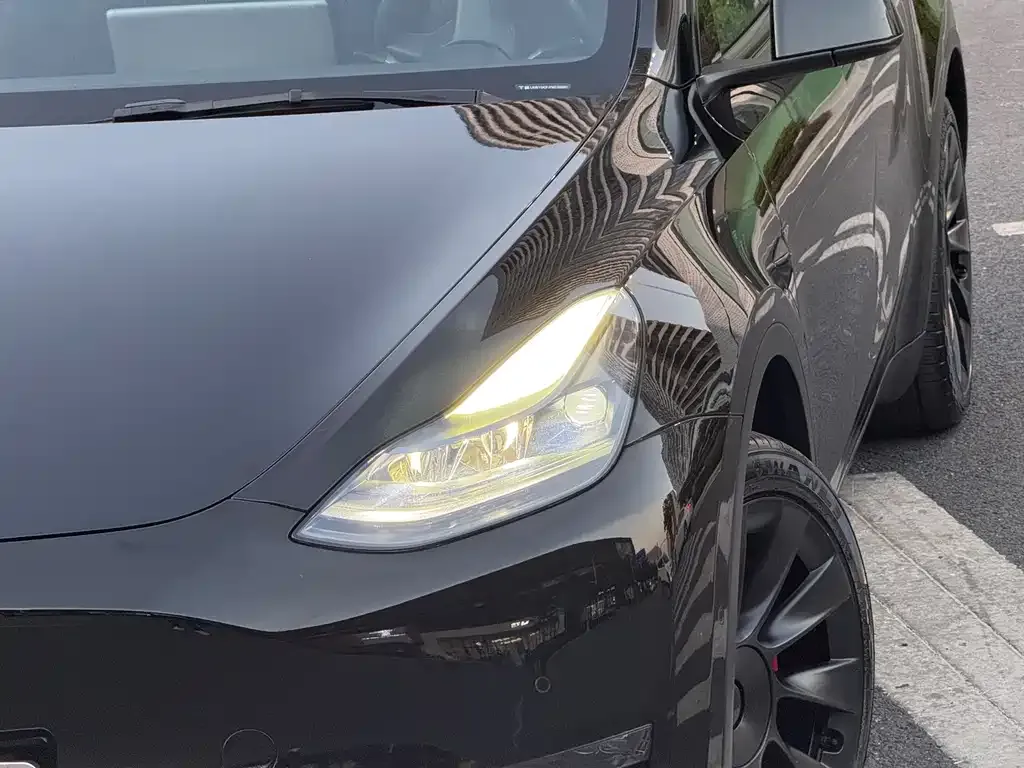 Tesla Model Y 2021 из CN, фото 7