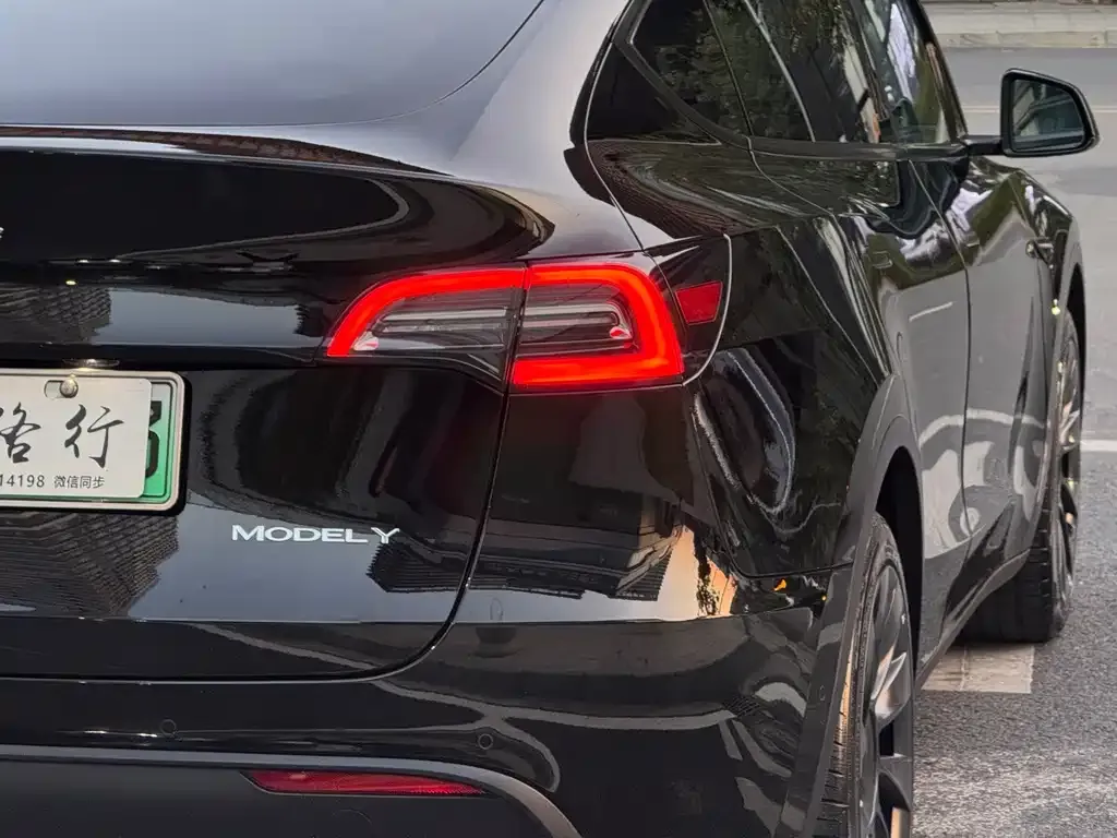 Tesla Model Y 2021 из CN, фото 2