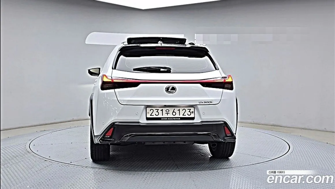 Lexus UX 2025 из KR, фото 10