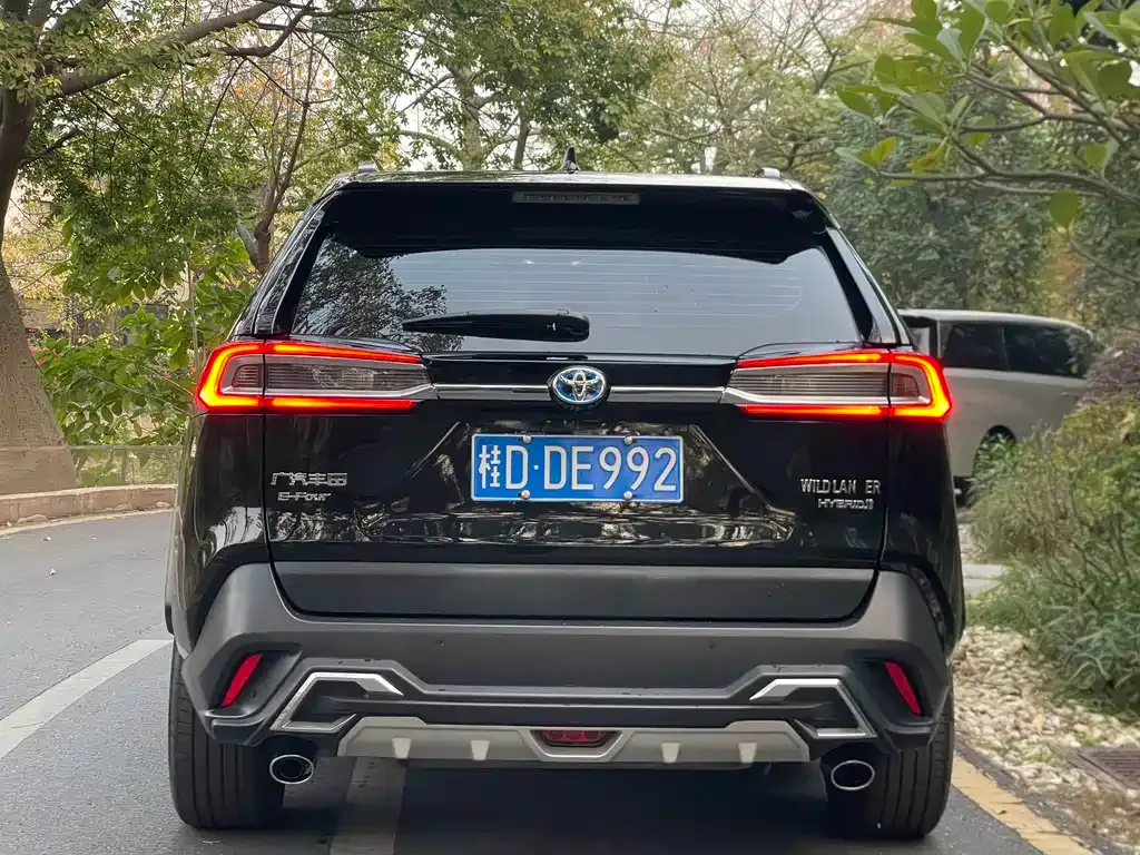 Toyota Wildlander 2023 из CN, фото 6