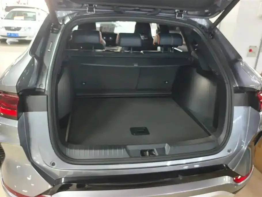 BYD PLUS New Energy 2023 из CN, фото 2