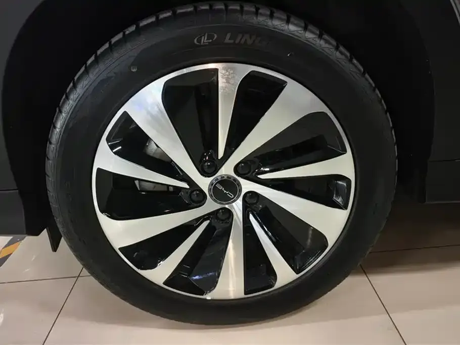 BYD PLUS New Energy 2023 из CN, фото 6