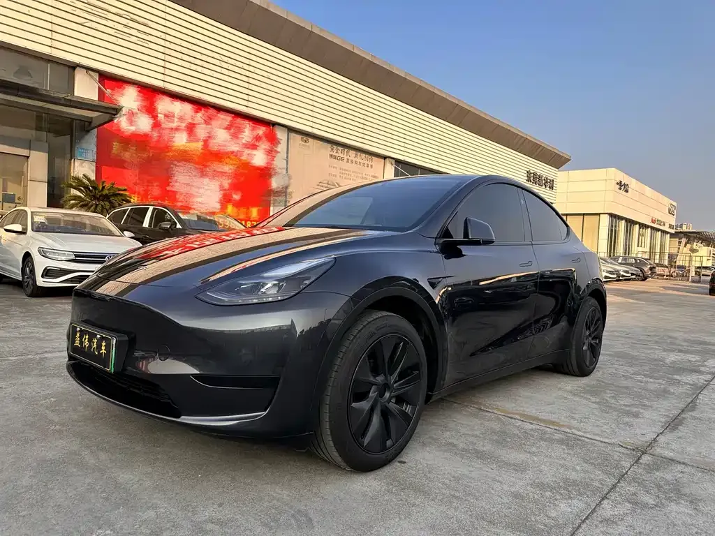 Tesla Model Y — фото 1