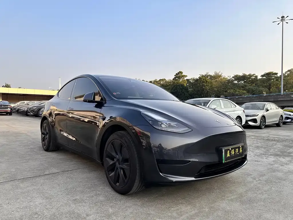 Tesla Model Y — фото 4