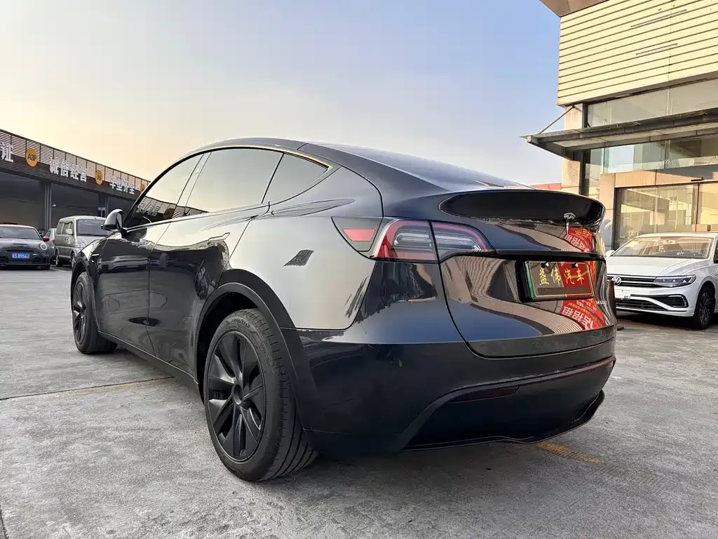 Tesla Model Y — фото 8