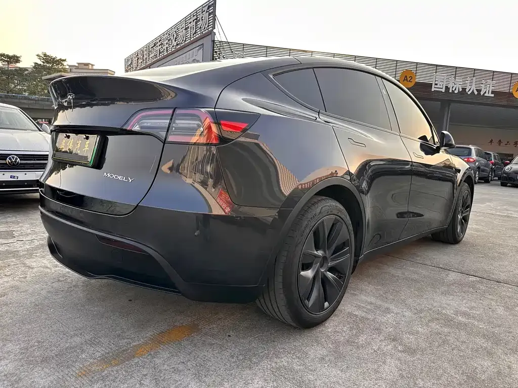 Tesla Model Y — фото 10