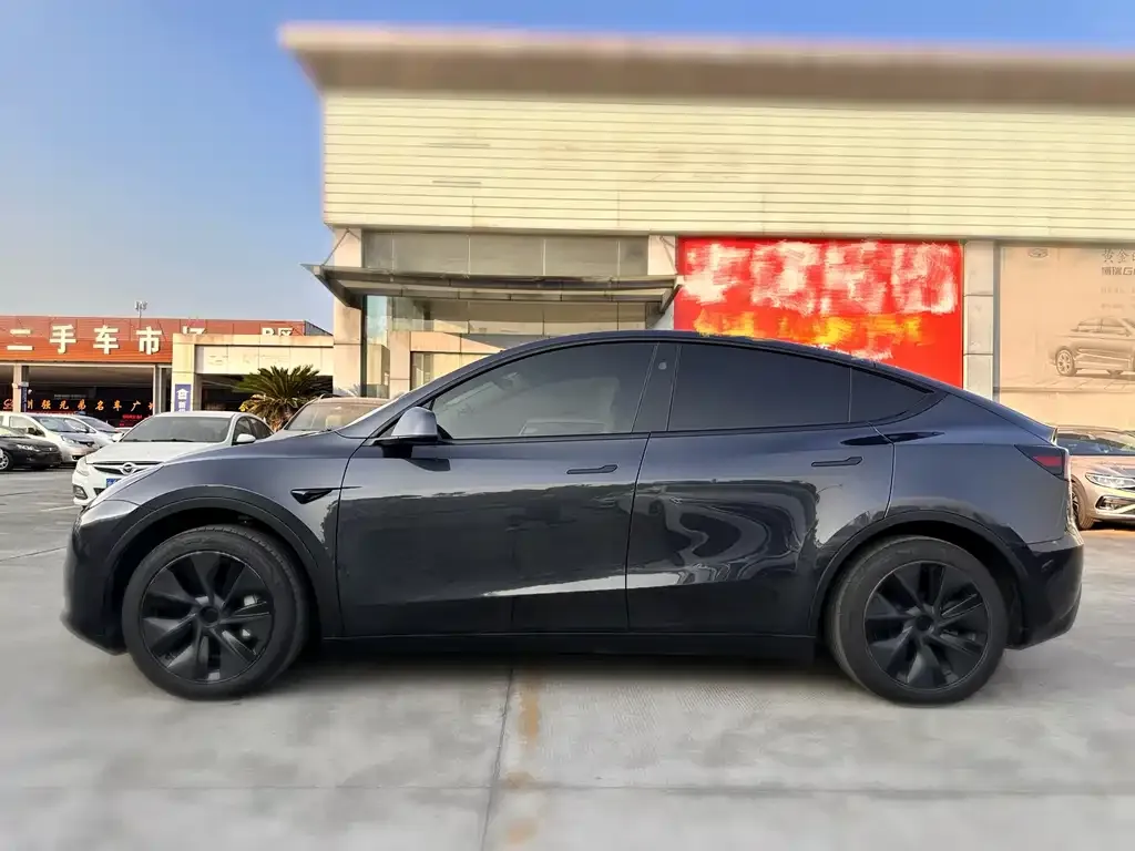 Tesla Model Y — фото 3