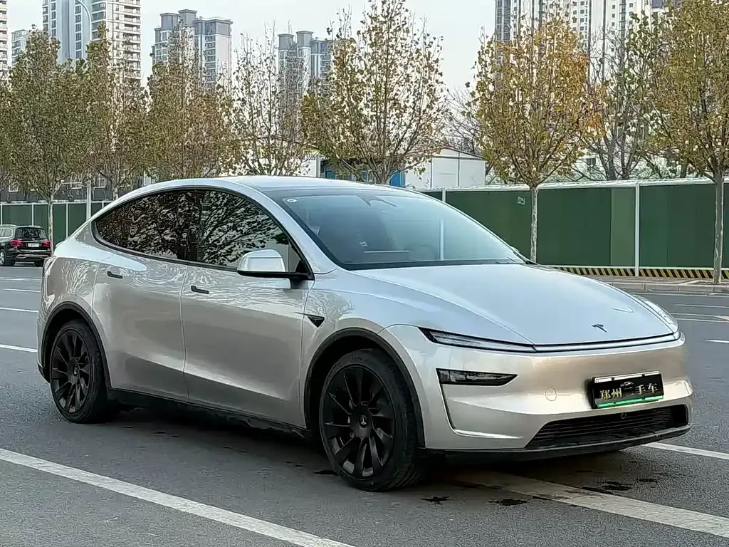 Tesla Model Y L 2025 из CN, фото 5