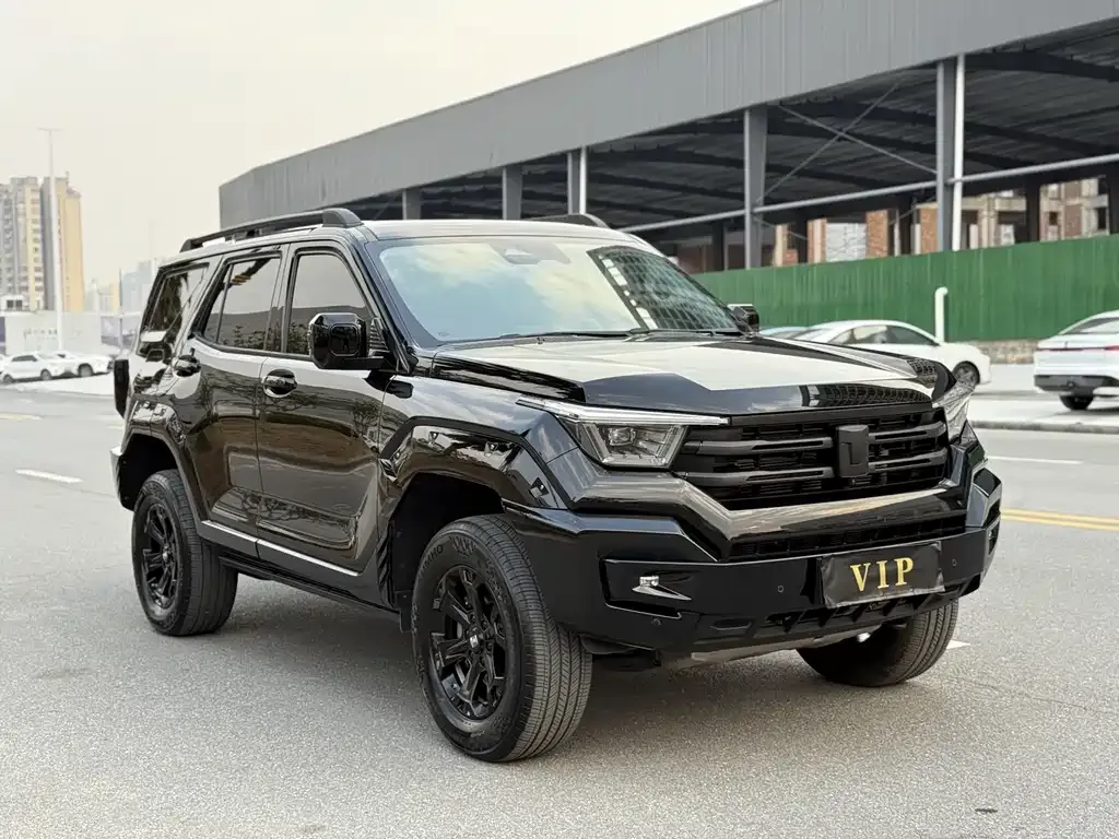 Tank 400 New Energy 2024 из CN, фото 7