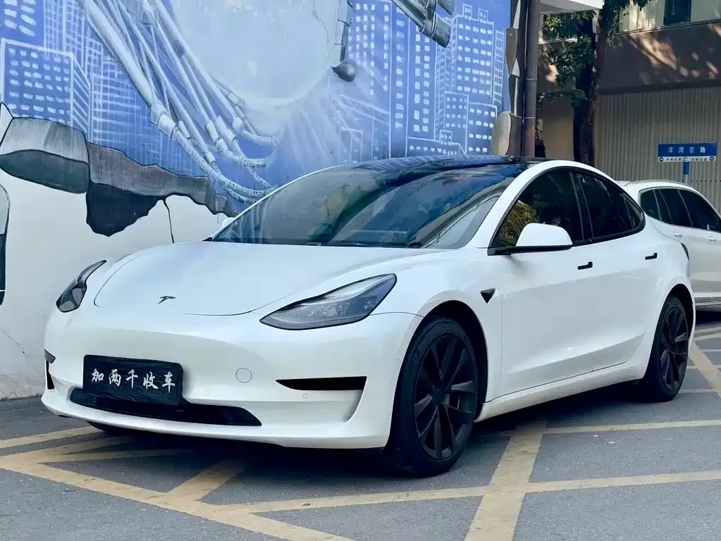 Tesla Model 3 2021 из CN, фото 1