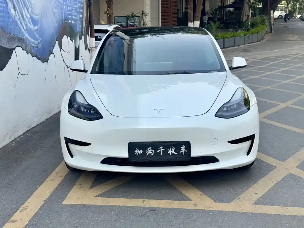 Tesla Model 3 2021 из CN, фото 3