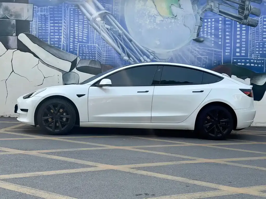Tesla Model 3 2021 из CN, фото 6
