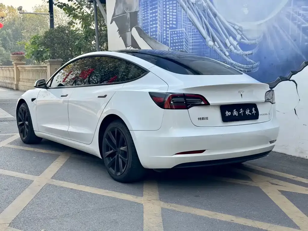 Tesla Model 3 2021 из CN, фото 7