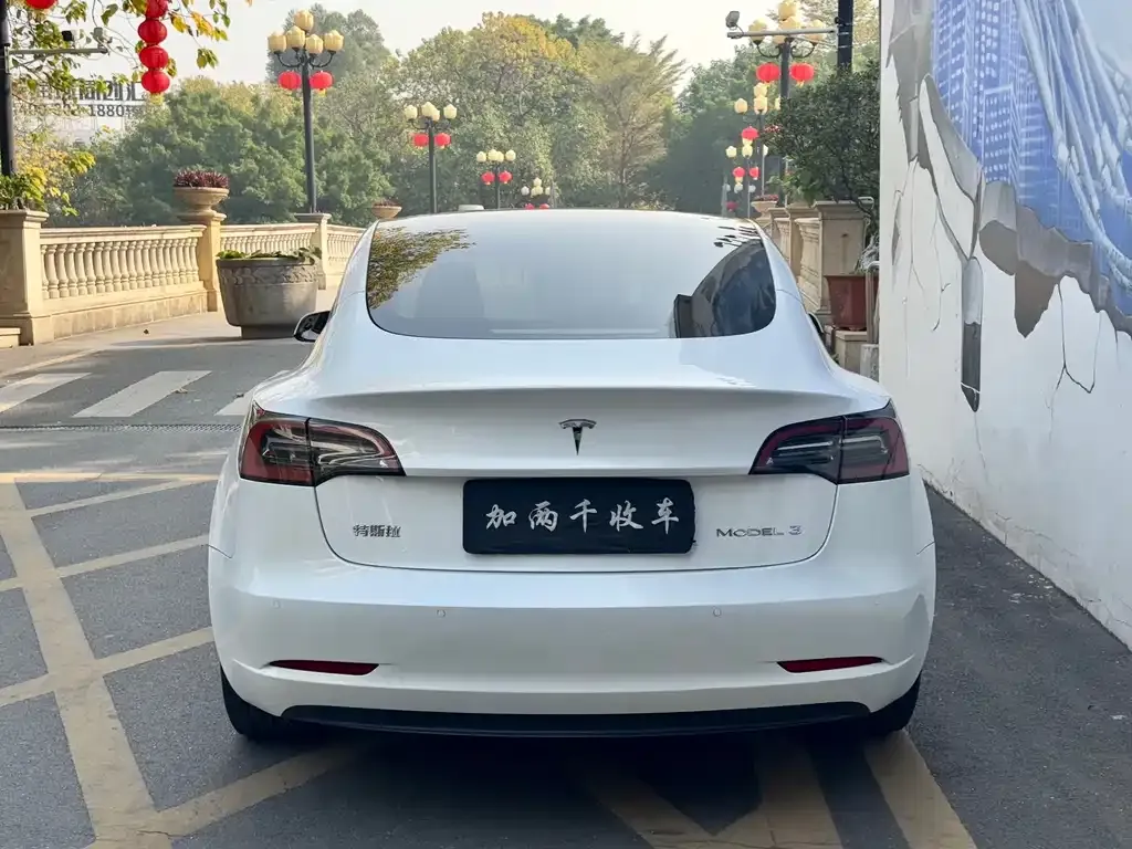 Tesla Model 3 2021 из CN, фото 9