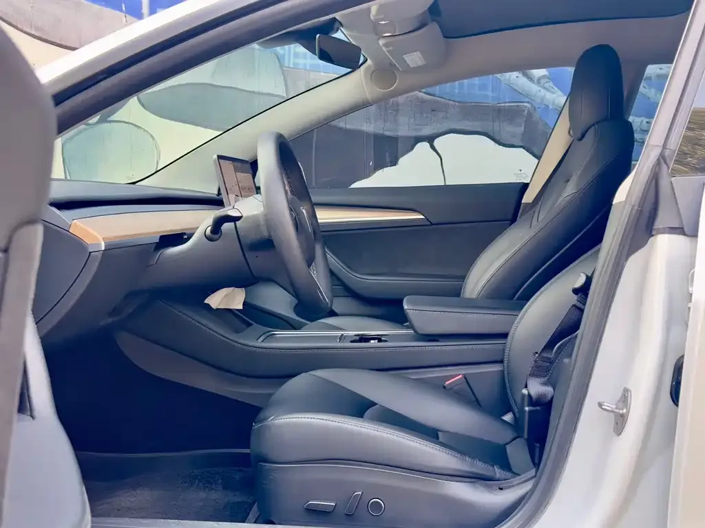 Tesla Model 3 2021 из CN, фото 5