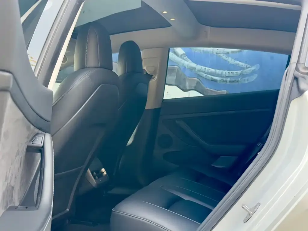 Tesla Model 3 2021 из CN, фото 4