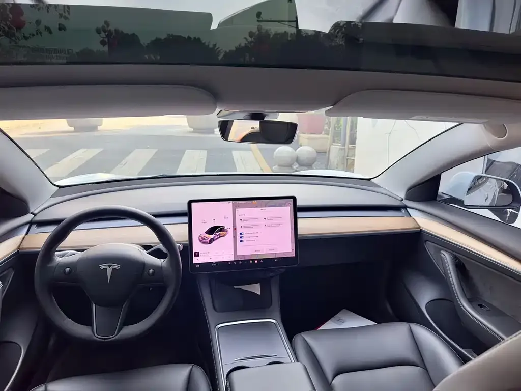 Tesla Model 3 2021 из CN, фото 2