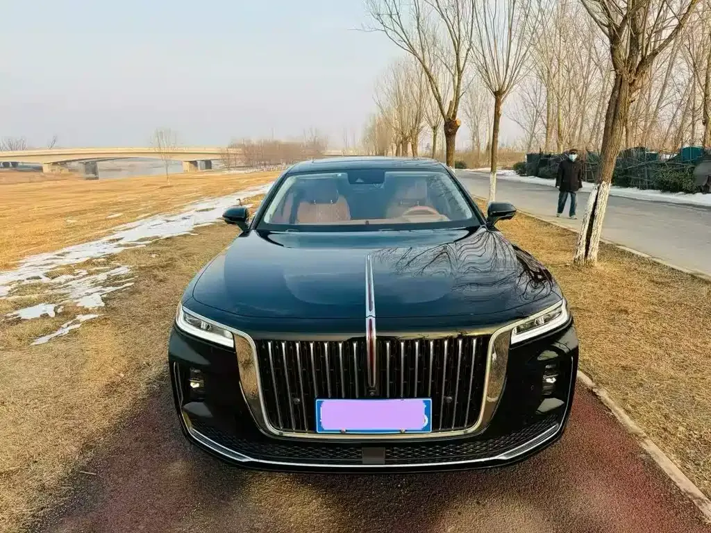 Hongqi H9 2021 из CN, фото 7