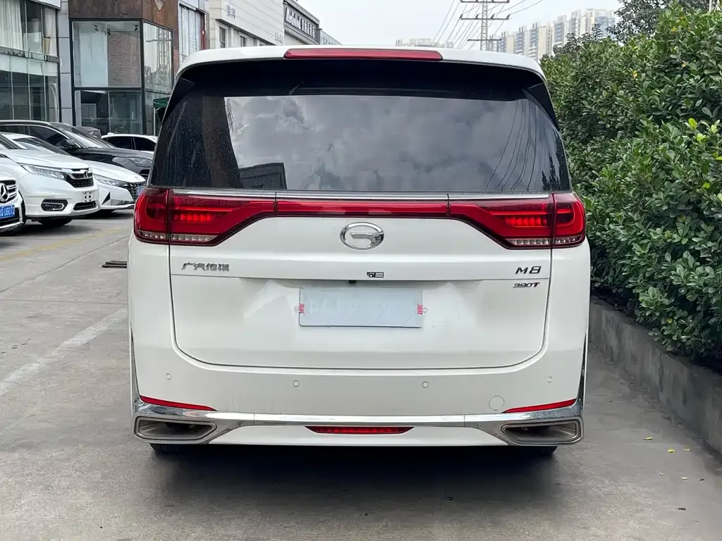 GAC Motor Trumpchi M8 2022 из CN, фото 7