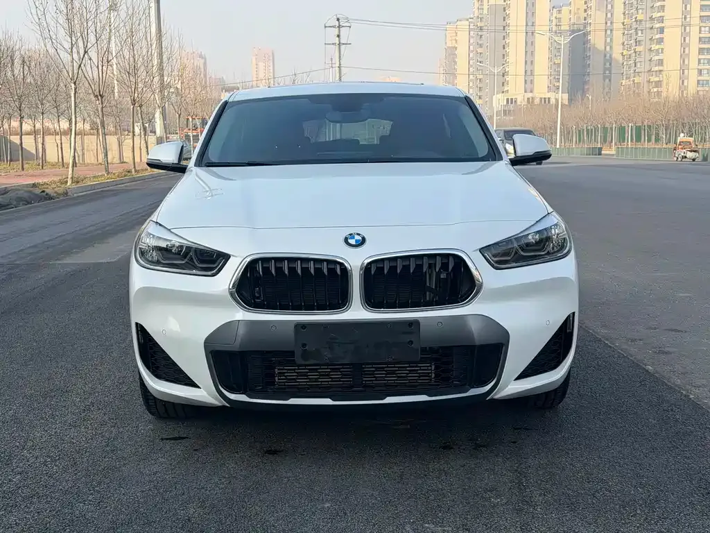 BMW X2 2021 из CN, фото 2