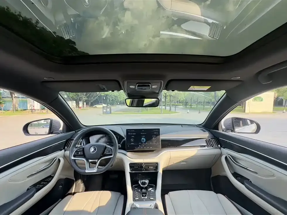 BYD PLUS New Energy — фото 10