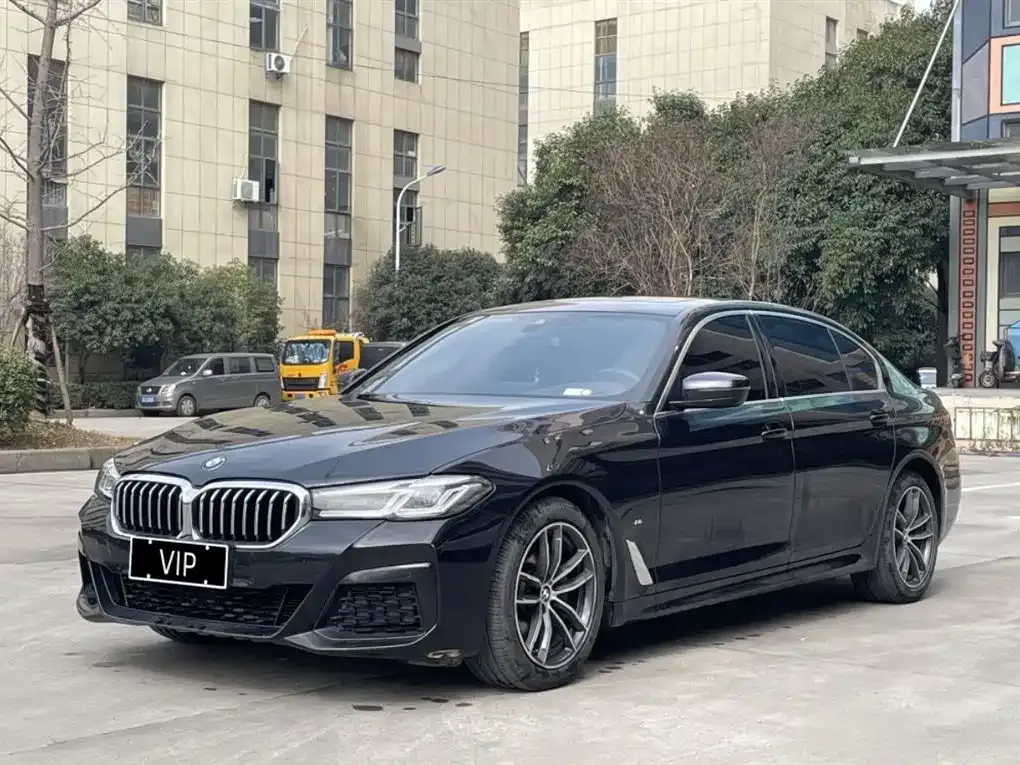 BMW 5 Series 2021 из CN, фото 1