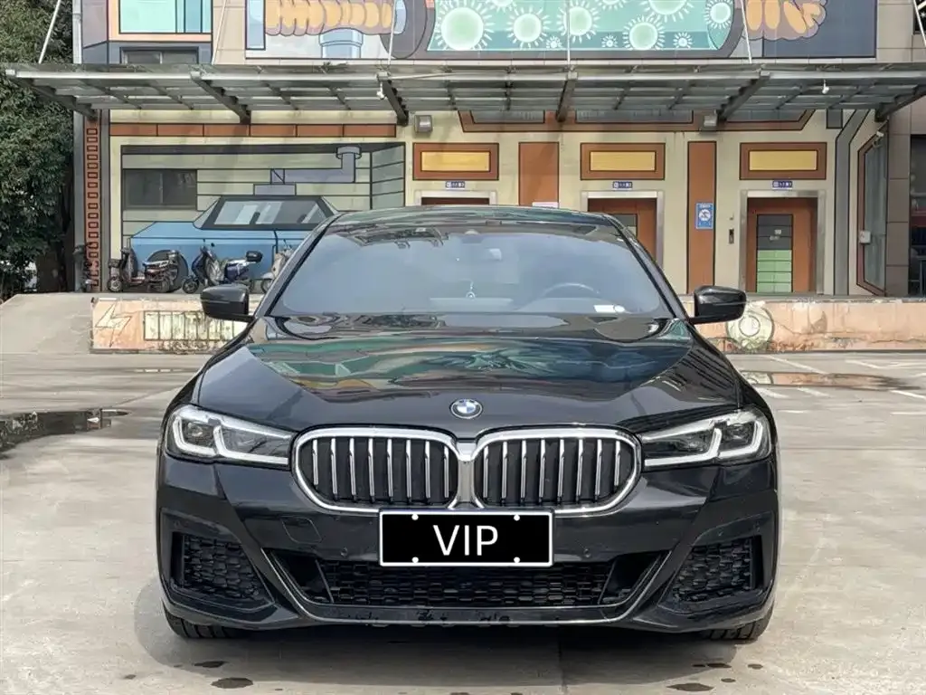 BMW 5 Series 2021 из CN, фото 2