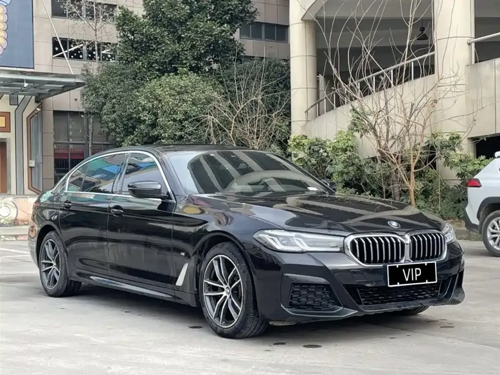 BMW 5 Series 2021 из CN, фото 4