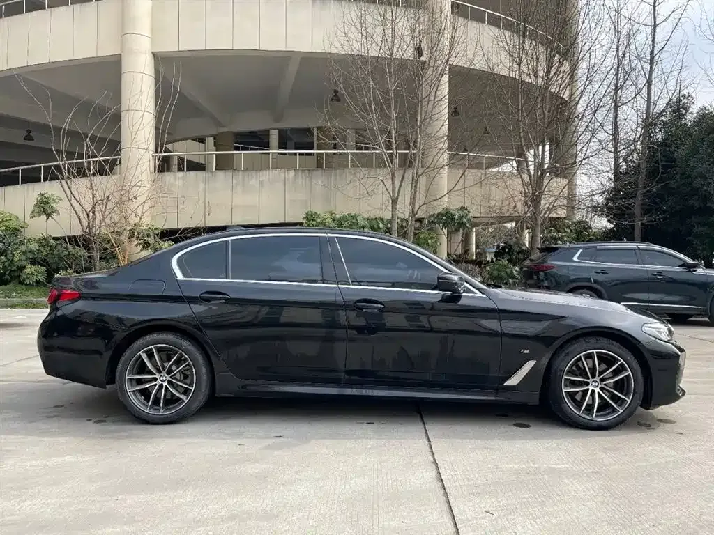 BMW 5 Series 2021 из CN, фото 8
