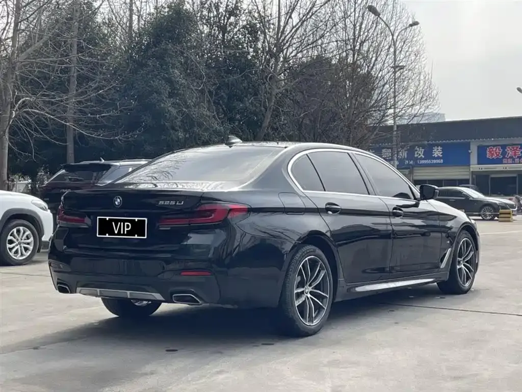 BMW 5 Series 2021 из CN, фото 7