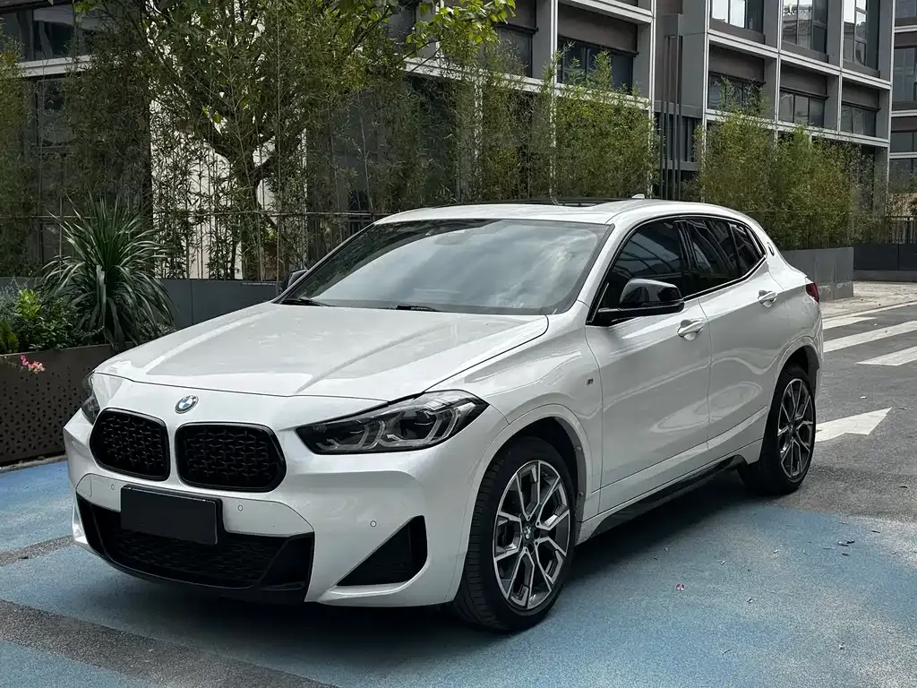 BMW X2 2023 из CN, фото 1