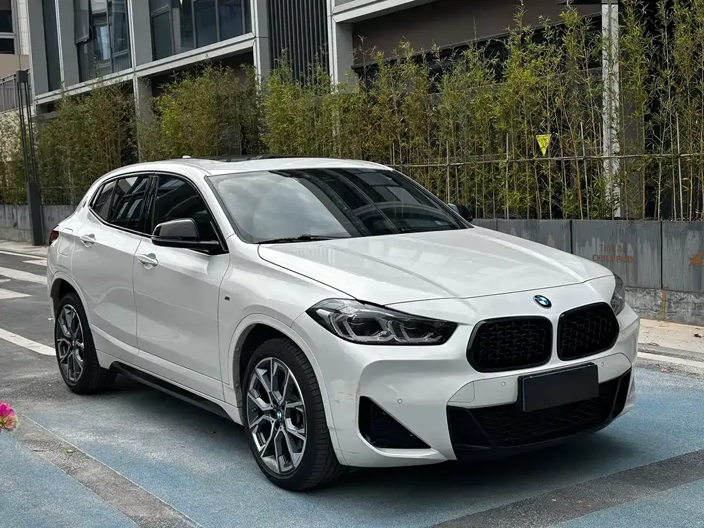 BMW X2 2023 из CN, фото 10