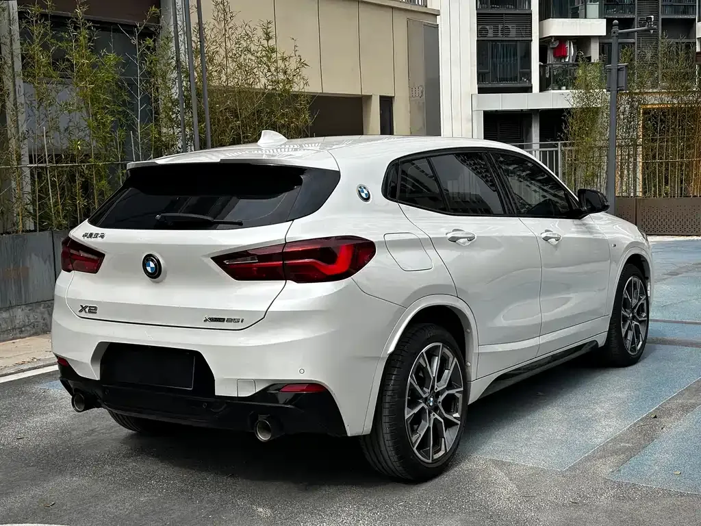 BMW X2 2023 из CN, фото 9