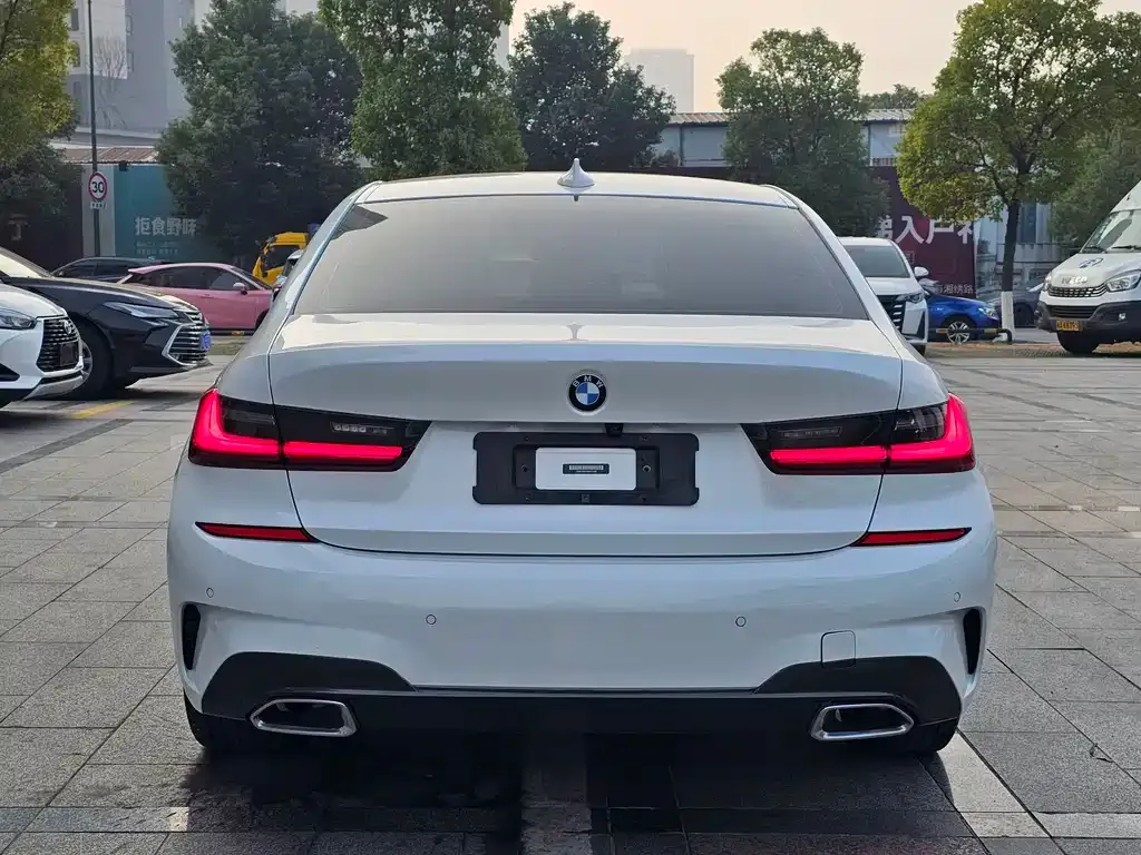 BMW 3 Series 2021 из CN, фото 3