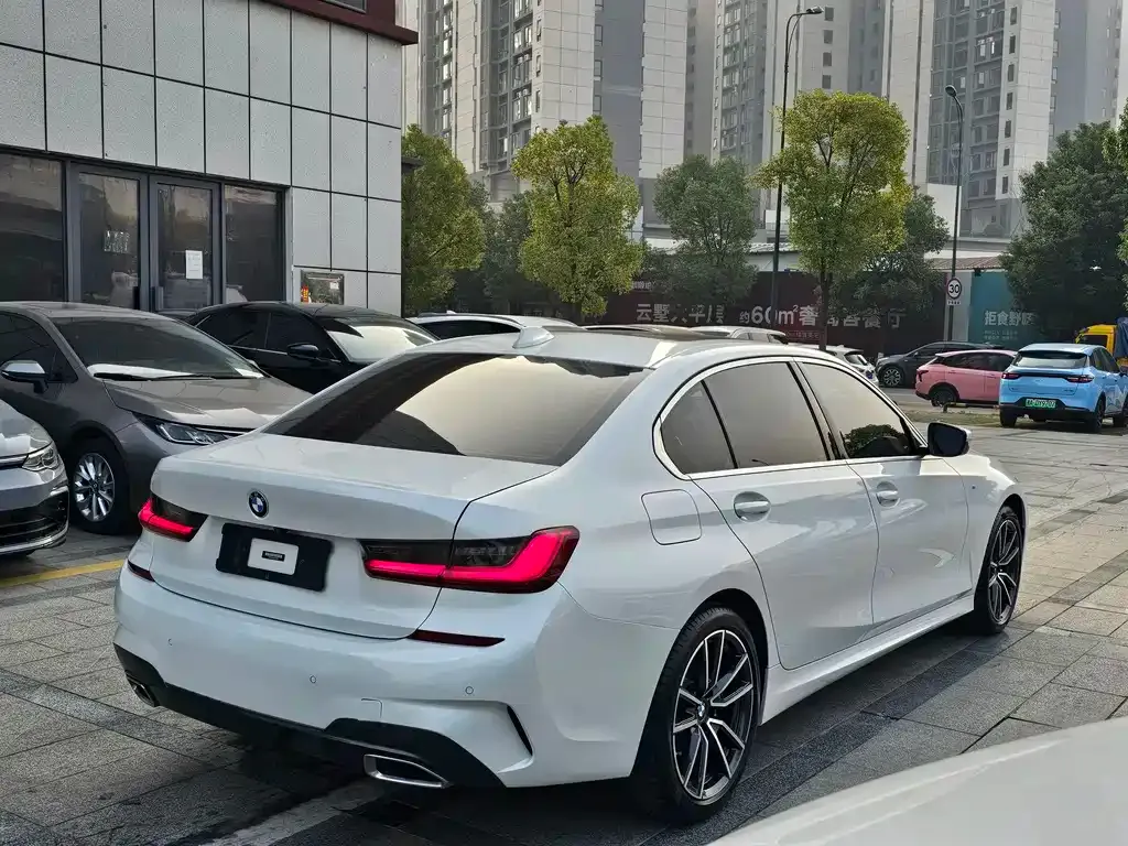 BMW 3 Series 2021 из CN, фото 9