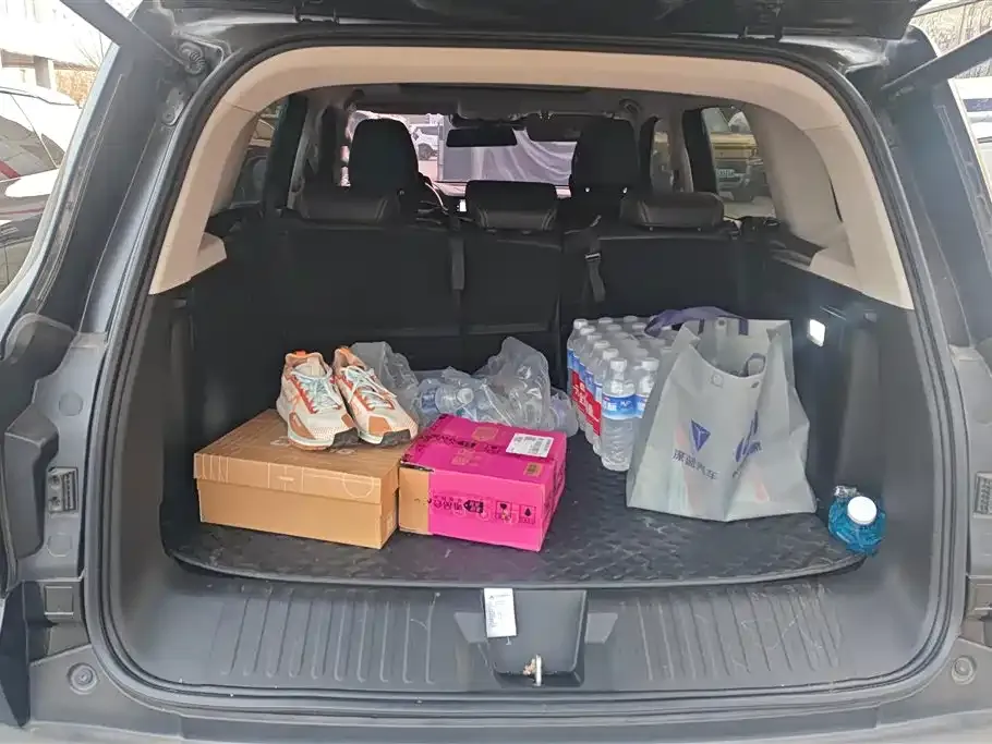 Haval Big Dog 2022 из CN, фото 3