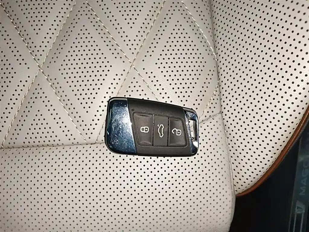 Volkswagen Magotan 2023 из CN, фото 6