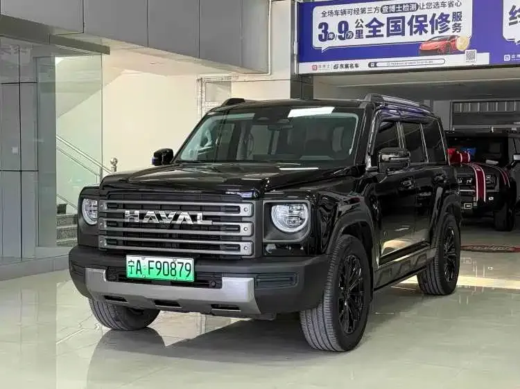 Haval Menglong New Energy 2024 из CN, фото 1