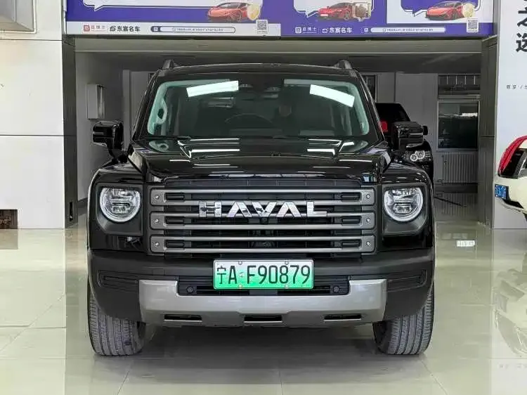 Haval Menglong New Energy 2024 из CN, фото 7