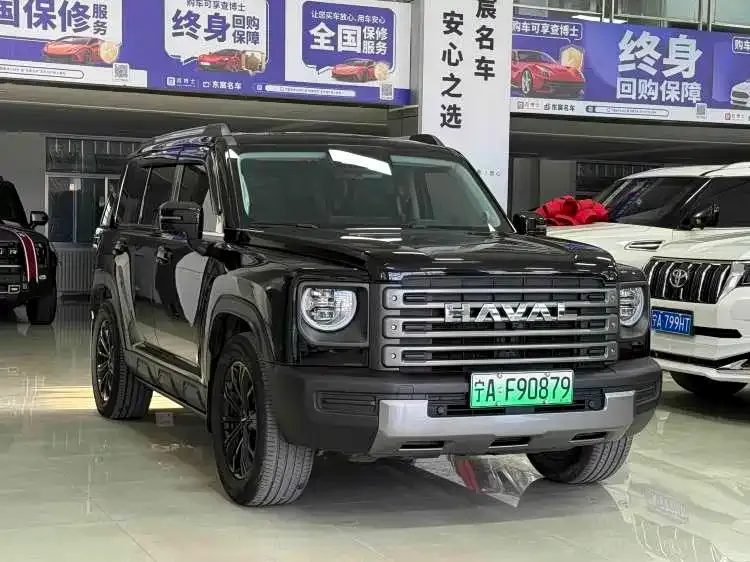 Haval Menglong New Energy 2024 из CN, фото 5